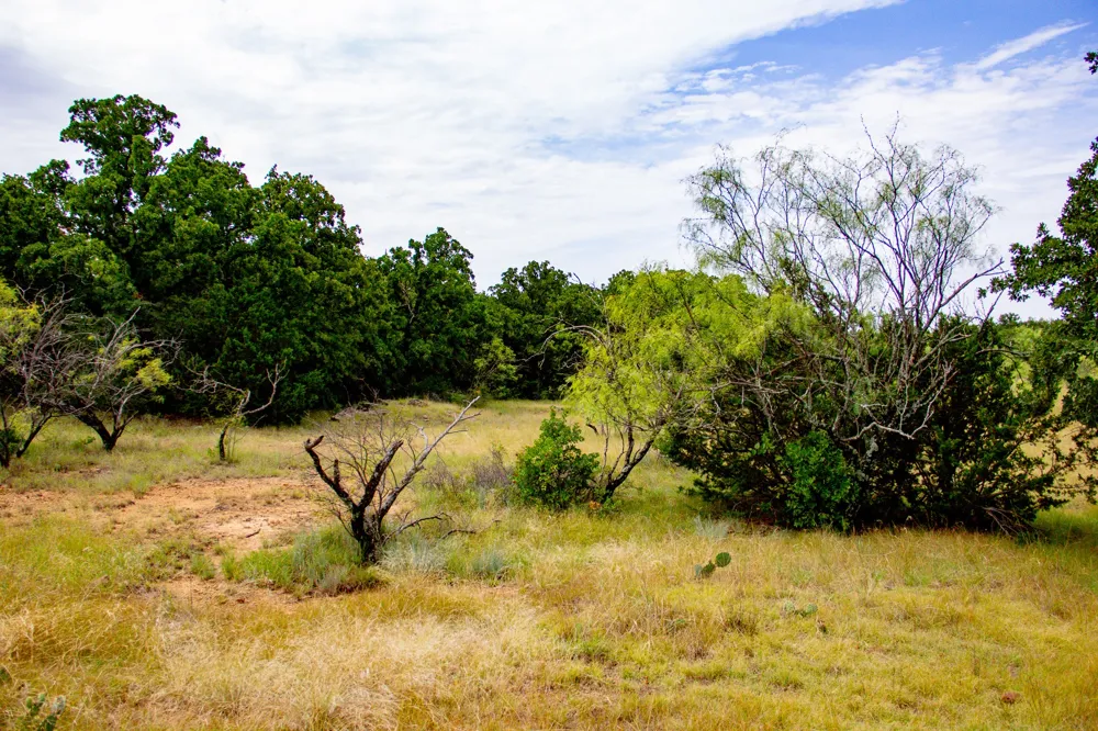 College Street Bryson, TX 76427
