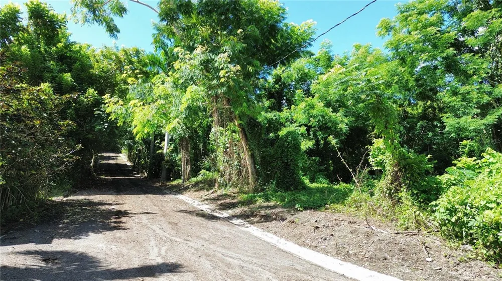 CALLE BALBINO ROSA #Solar C Luquillo, PR 00773
