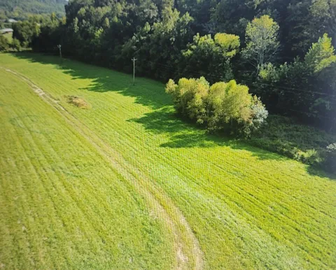 5641 New Highway 7