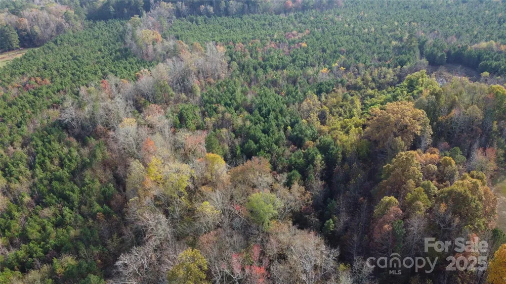 2351 Reges Store Road Nashville, NC 27856
