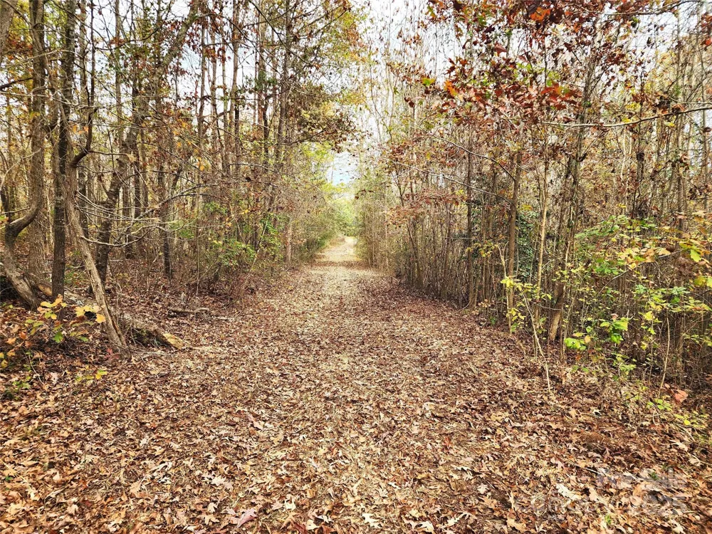 2351 Reges Store Road Nashville, NC 27856