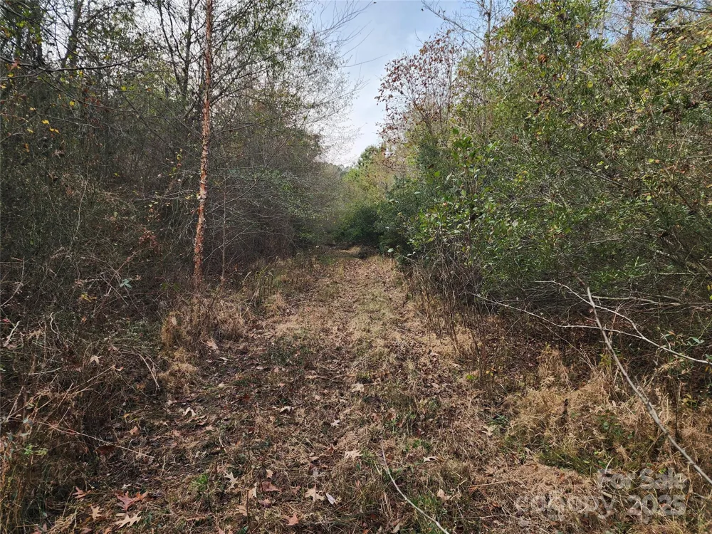 2351 Reges Store Road Nashville, NC 27856