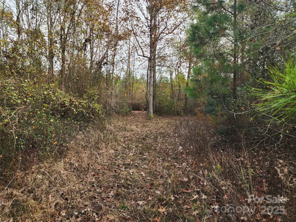 2351 Reges Store Road Nashville, NC 27856