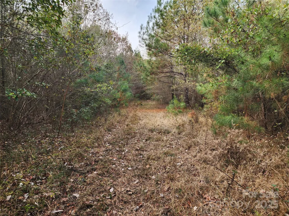 2351 Reges Store Road Nashville, NC 27856