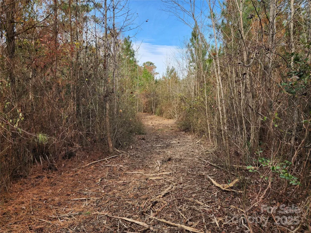 2351 Reges Store Road Nashville, NC 27856