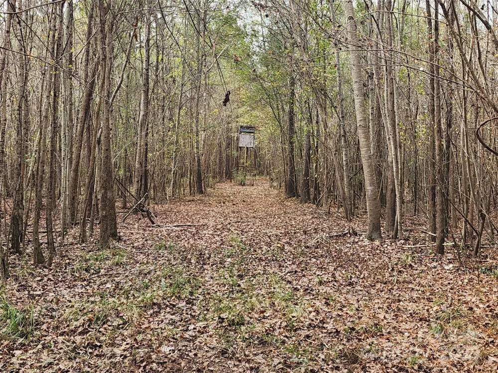2351 Reges Store Road Nashville, NC 27856