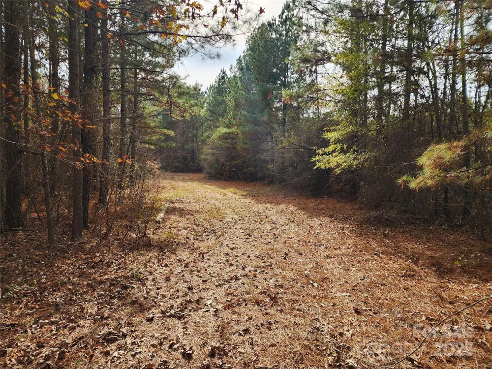 2351 Reges Store Road Nashville, NC 27856