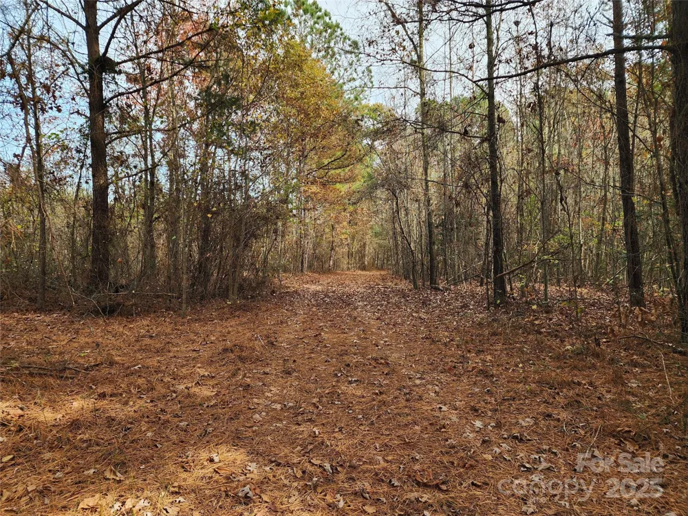 2351 Reges Store Road Nashville, NC 27856