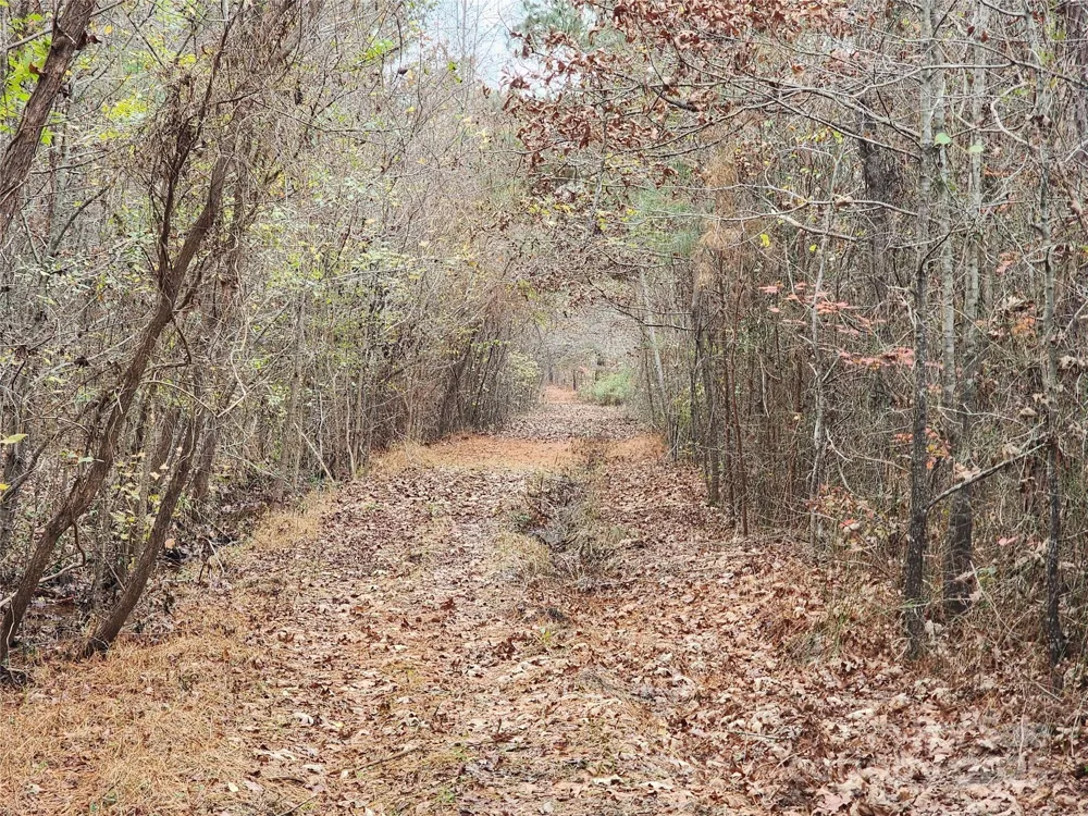 2351 Reges Store Road Nashville, NC 27856