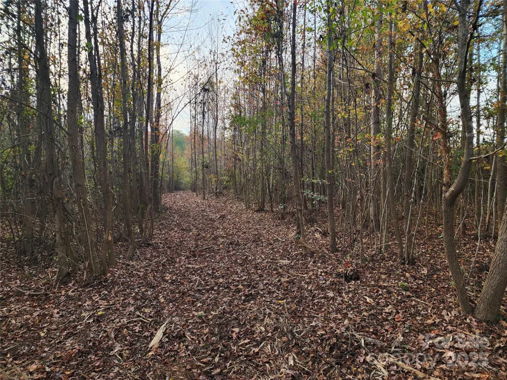 2351 Reges Store Road Nashville, NC 27856