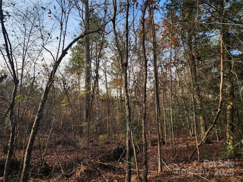 2351 Reges Store Road Nashville, NC 27856