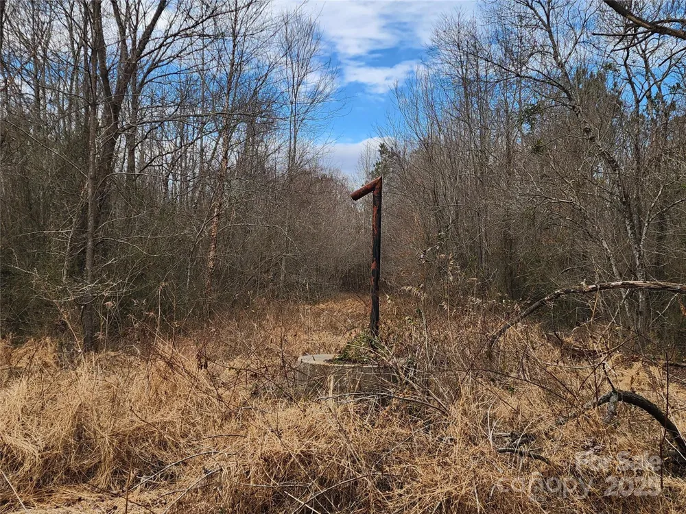 2351 Reges Store Road Nashville, NC 27856