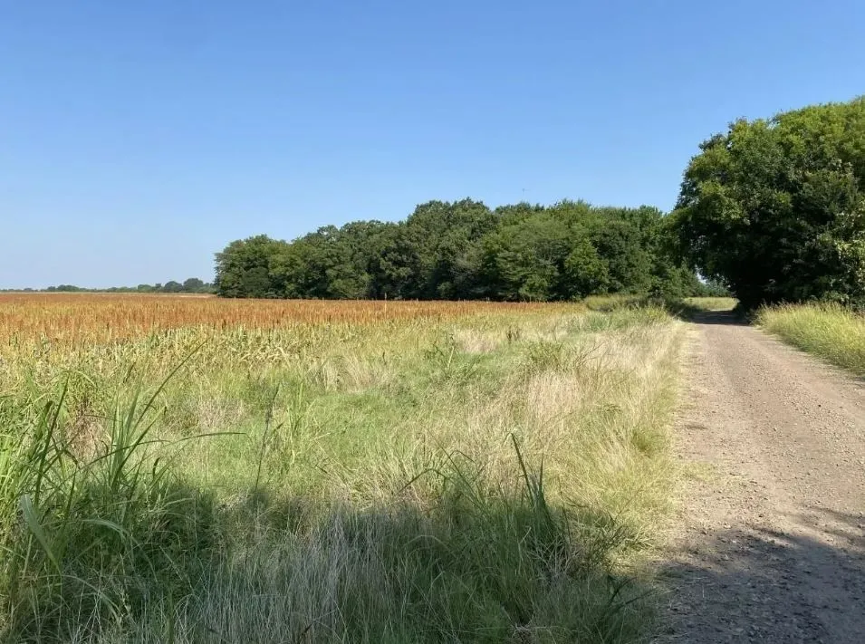 450 County Road 16060 Deport, TX 75435