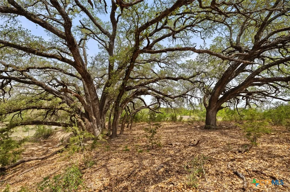 County Road 207 Burnet, TX 78611