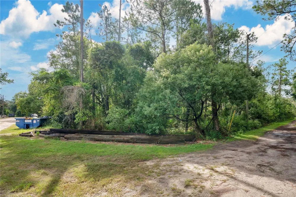 FARMINGDALE ROAD Clermont, FL 34714