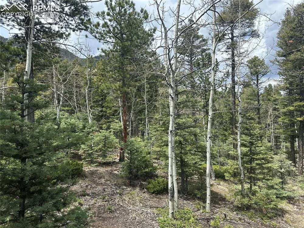 357 Big Horn Road Manitou Springs, CO 80829
