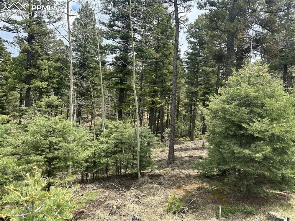 357 Big Horn Road Manitou Springs, CO 80829