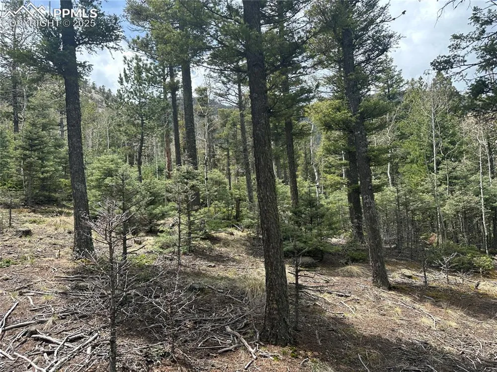357 Big Horn Road Manitou Springs, CO 80829