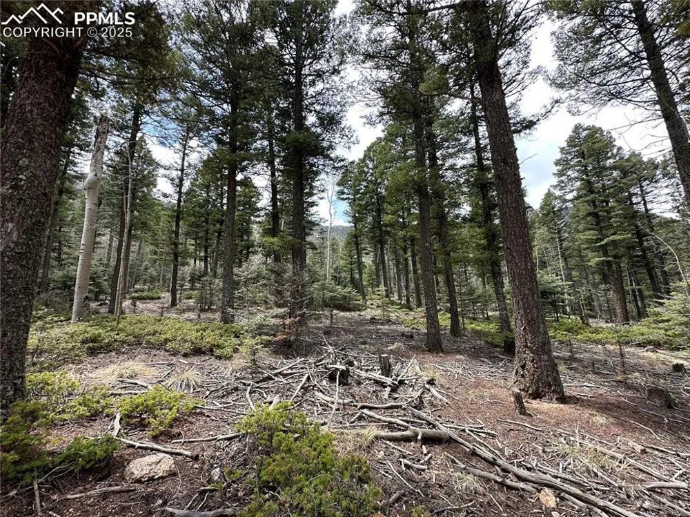 357 Big Horn Road Manitou Springs, CO 80829