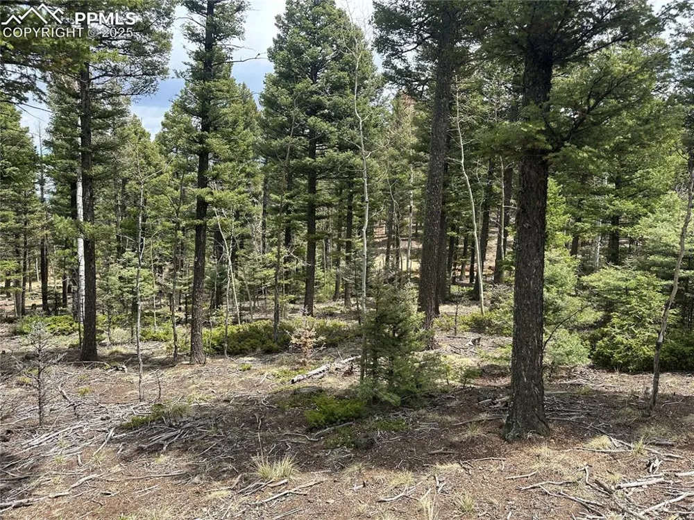357 Big Horn Road Manitou Springs, CO 80829