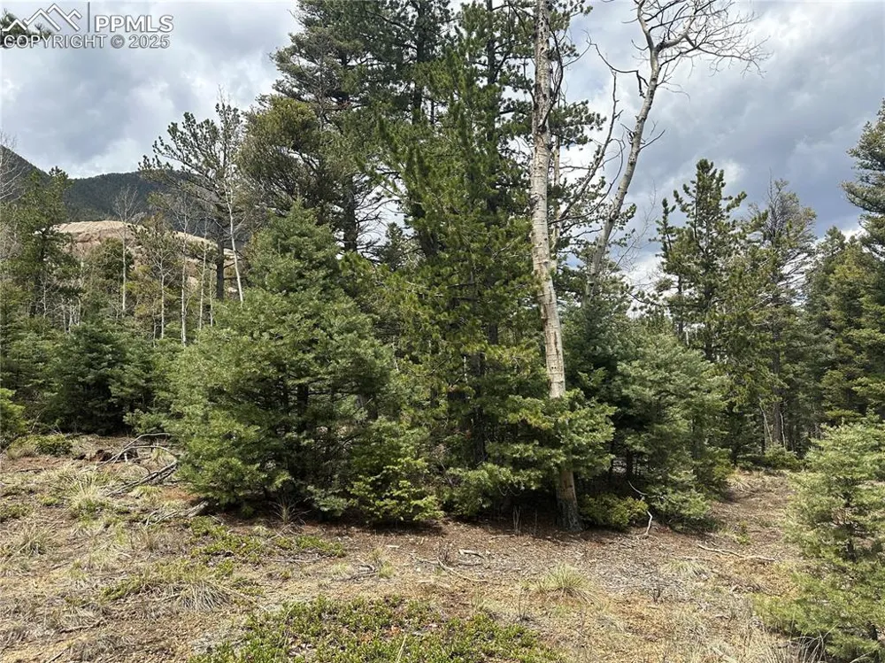 357 Big Horn Road Manitou Springs, CO 80829
