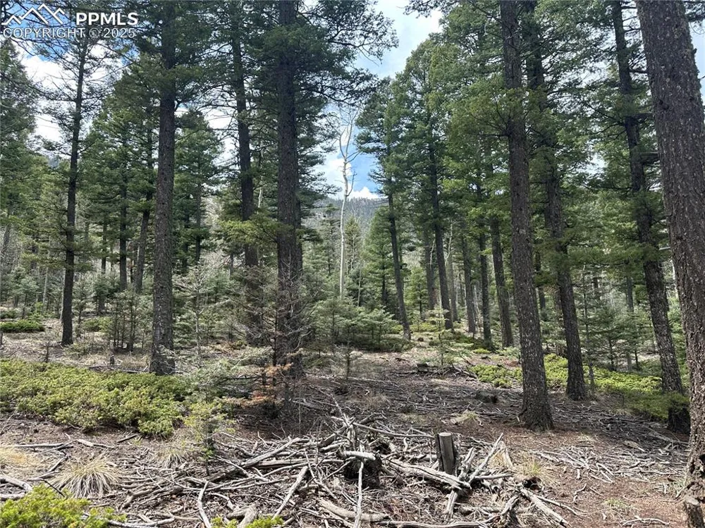 357 Big Horn Road Manitou Springs, CO 80829