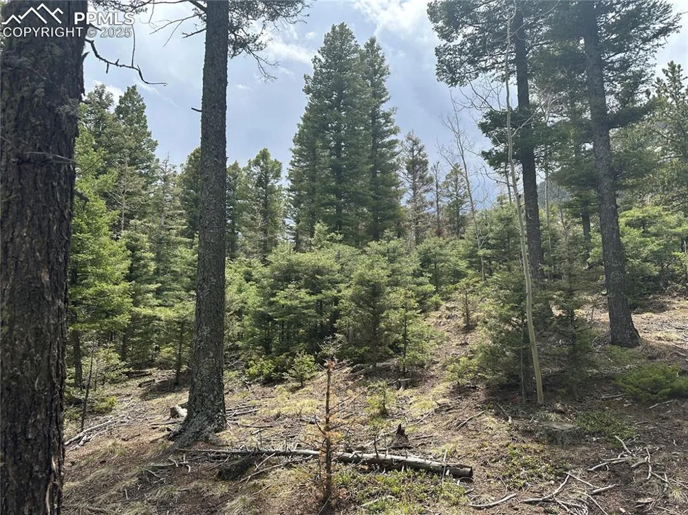 357 Big Horn Road Manitou Springs, CO 80829