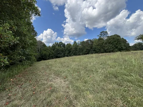 0 Highway 7 lot 25