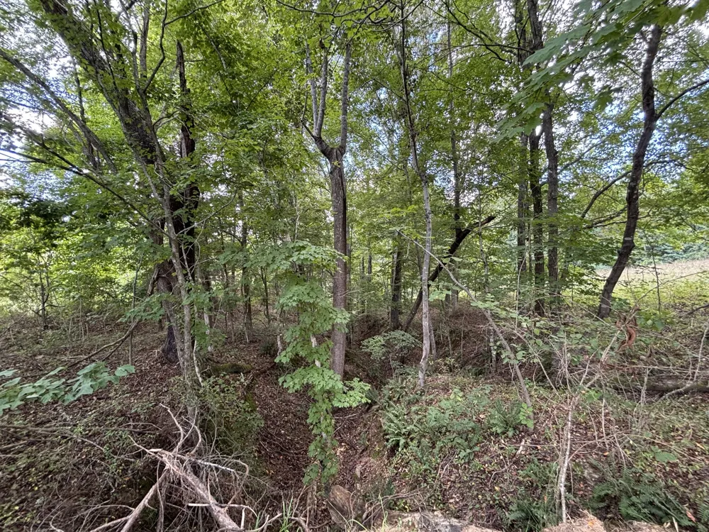 0 Highway 7 Lyles, TN 37098
