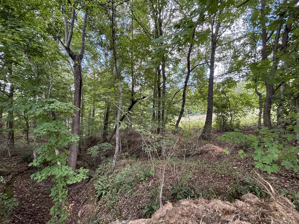 0 Highway 7 Lyles, TN 37098