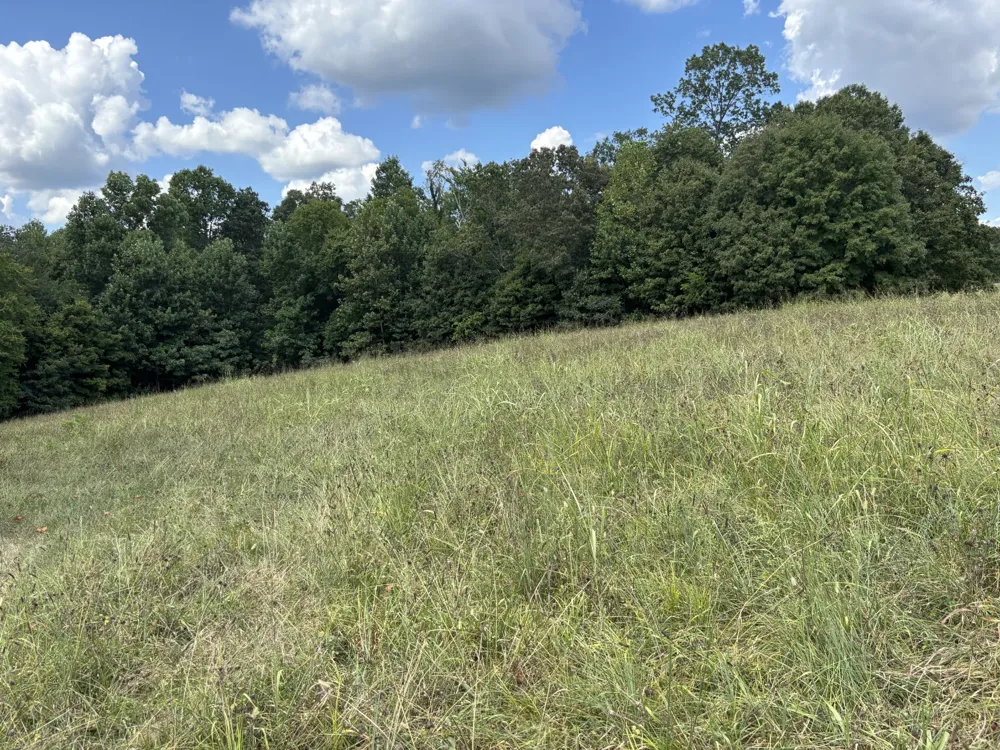 0 Highway 7 Lyles, TN 37098