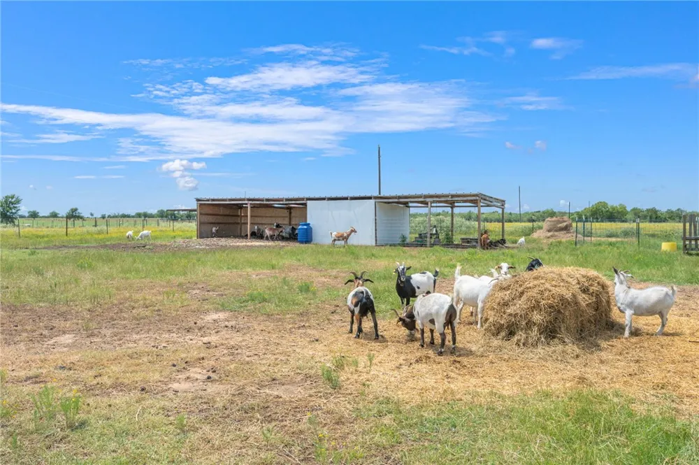 2970 County Road 270 Cameron, TX 76520