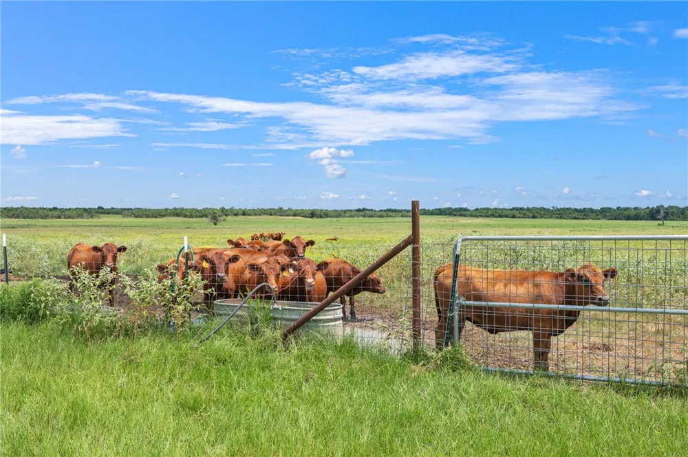 2970 County Road 270 Cameron, TX 76520