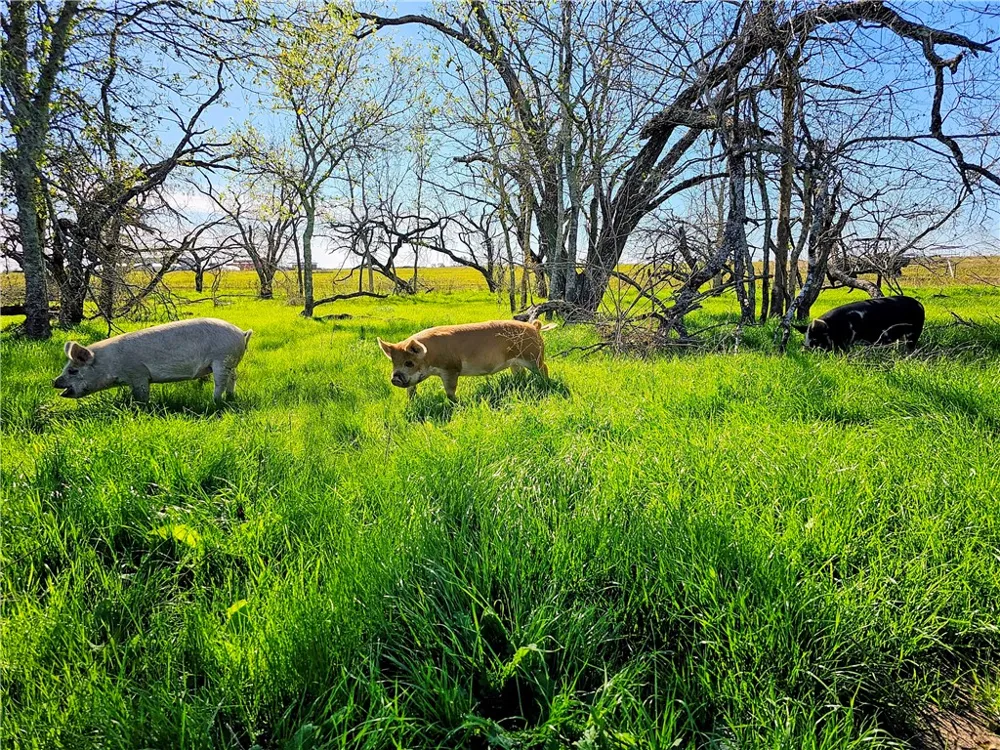 2970 County Road 270 Cameron, TX 76520