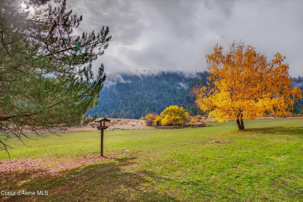 1383 Cedar Ridge Road Kendrick, ID 83537