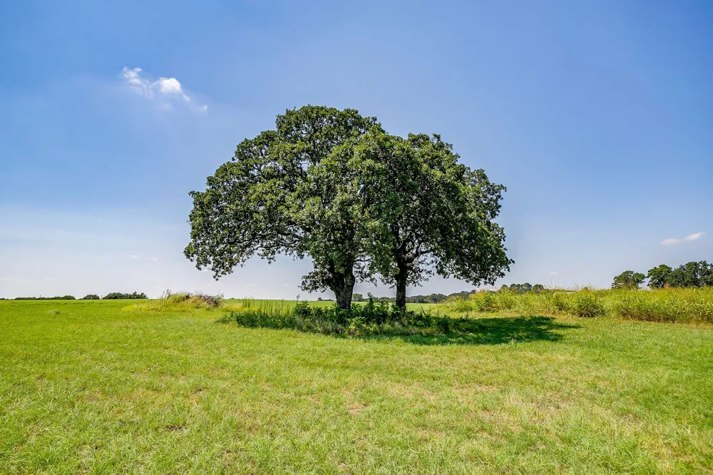601 Cr-805 Keene, TX 76031