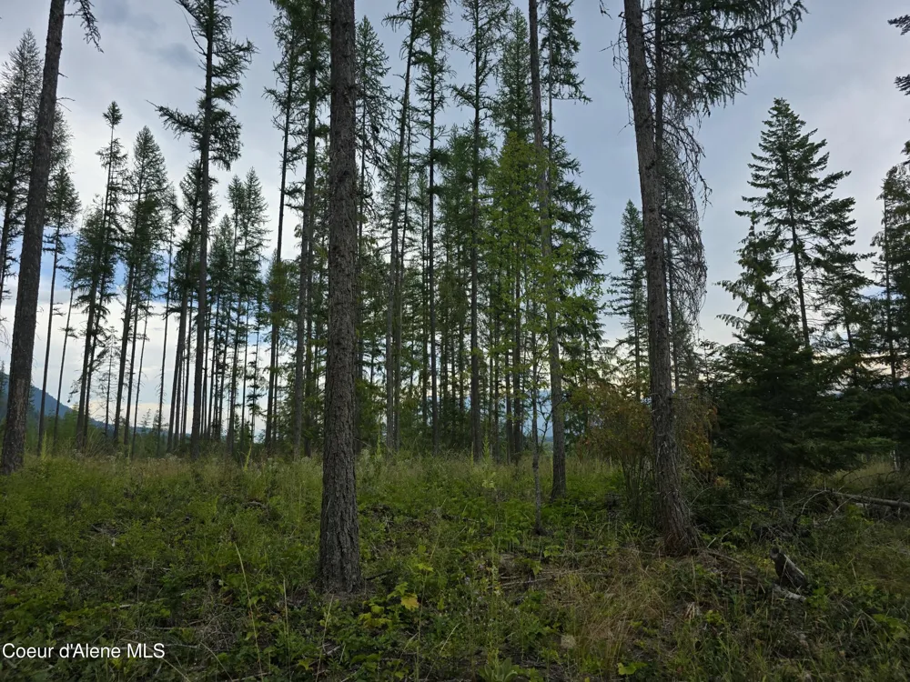 NNA WESTSIDE RD PARCEL 12 Bonners Ferry, ID 83805
