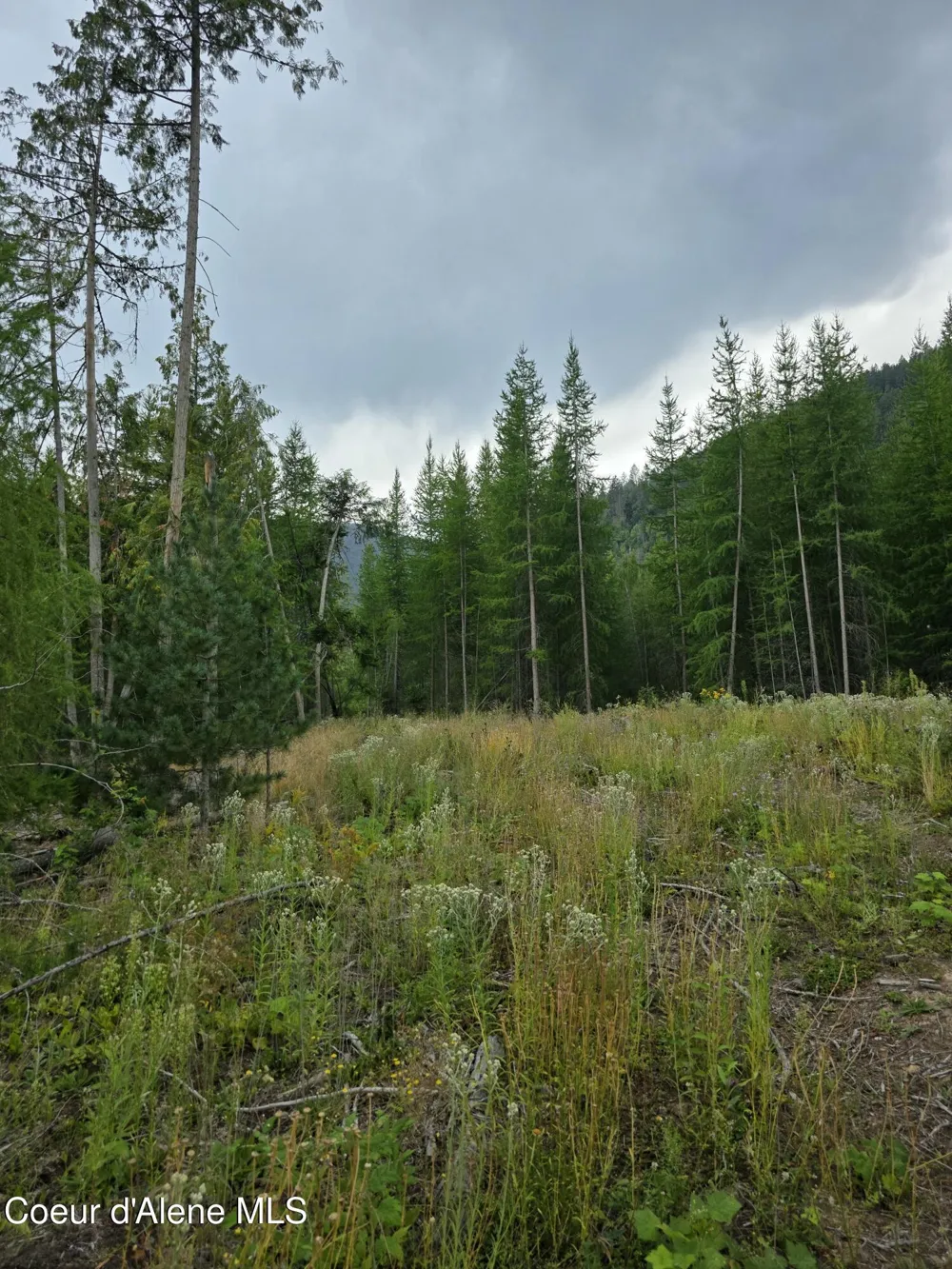 NNA WESTSIDE RD PARCEL 12 Bonners Ferry, ID 83805