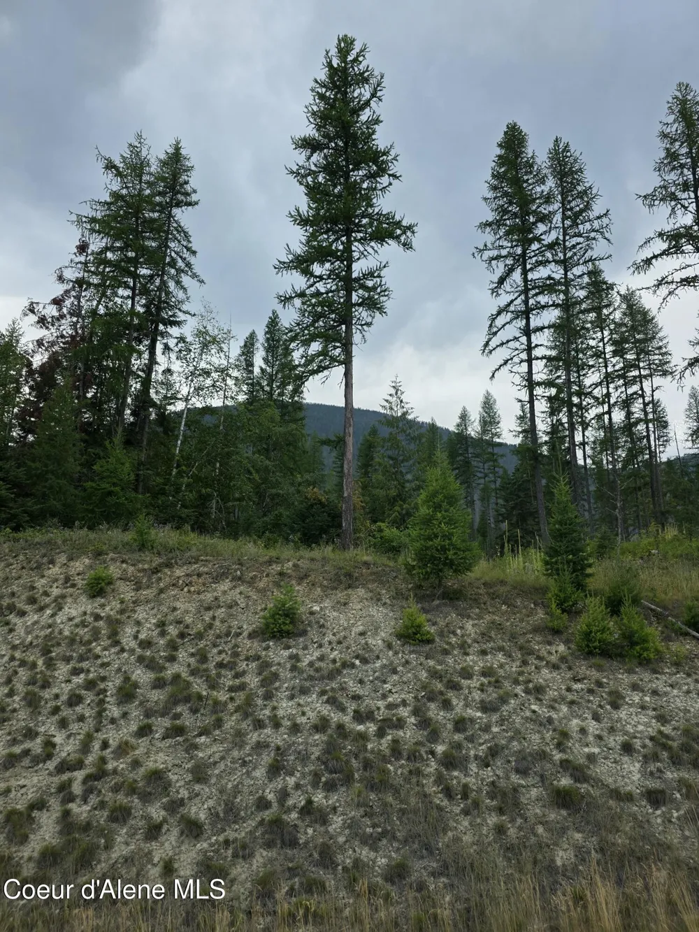 NNA WESTSIDE RD PARCEL 12 Bonners Ferry, ID 83805