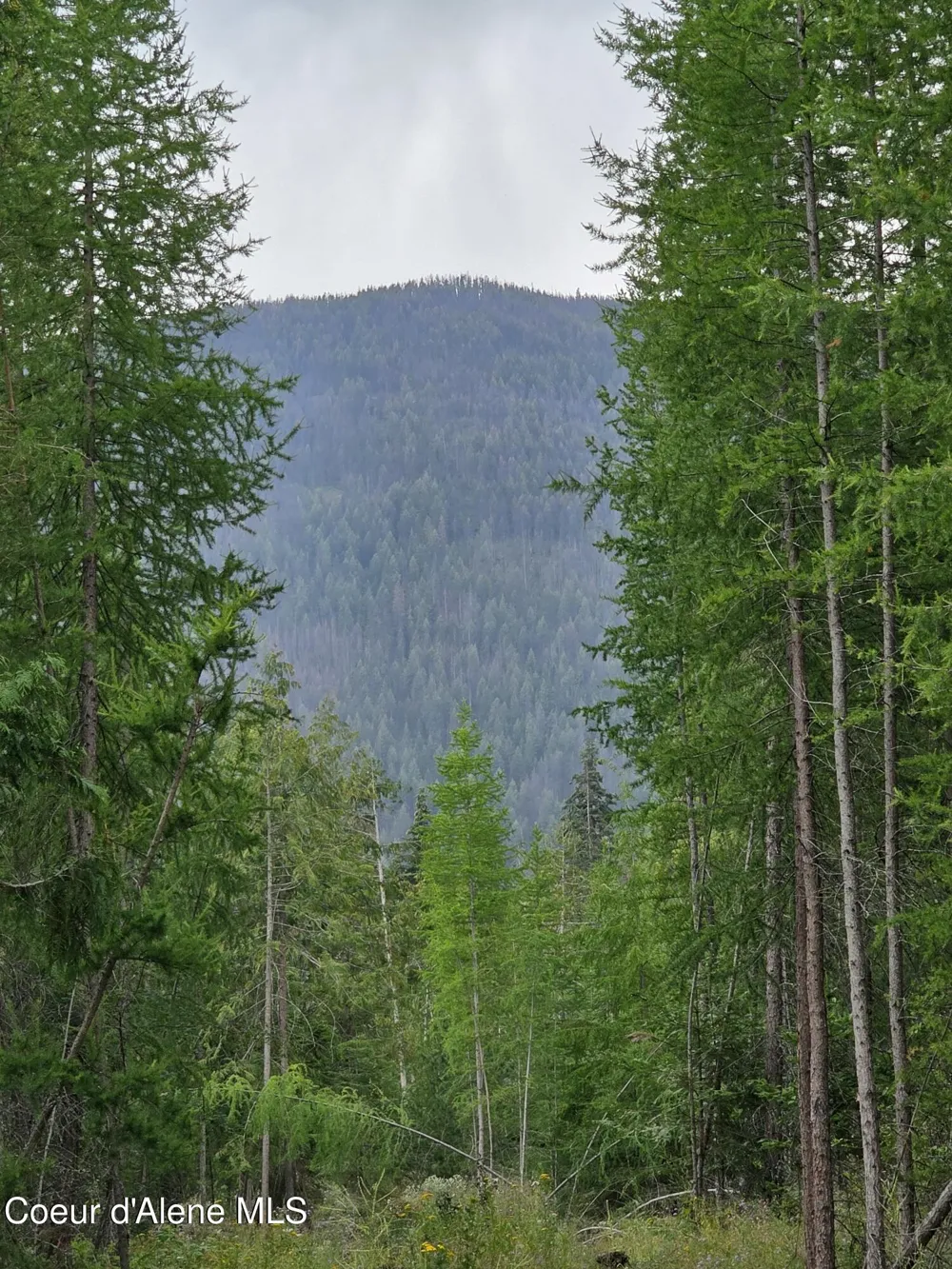 NNA WESTSIDE RD PARCEL 12 Bonners Ferry, ID 83805