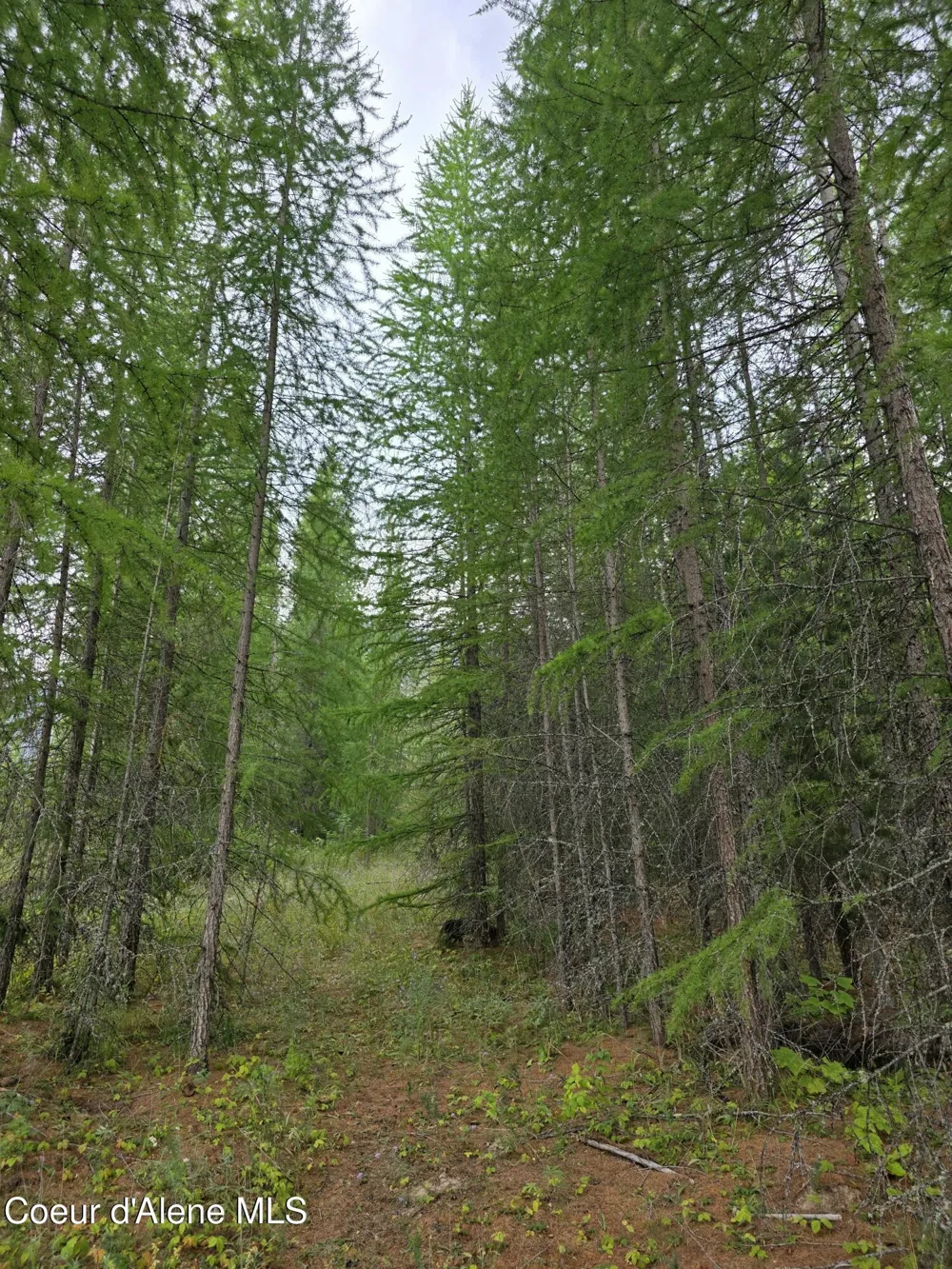NNA WESTSIDE RD PARCEL 12 Bonners Ferry, ID 83805