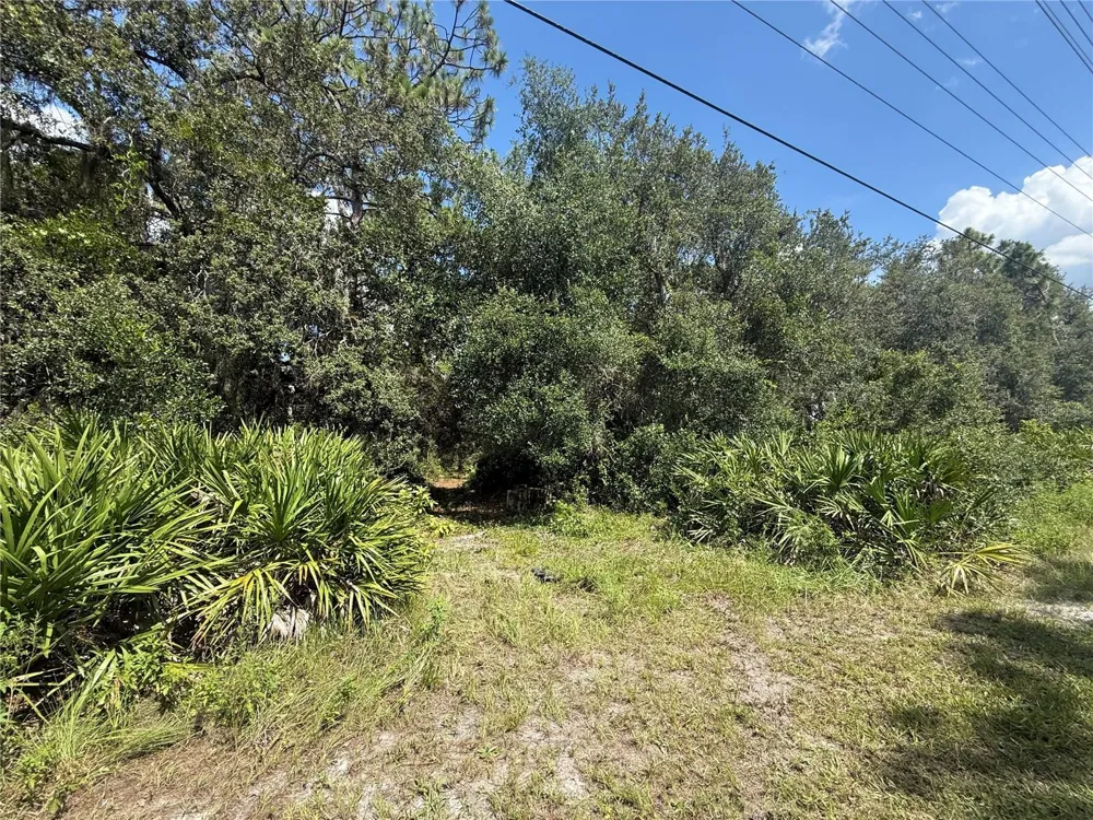 2521 ABSHER ROAD St Cloud, FL 34771