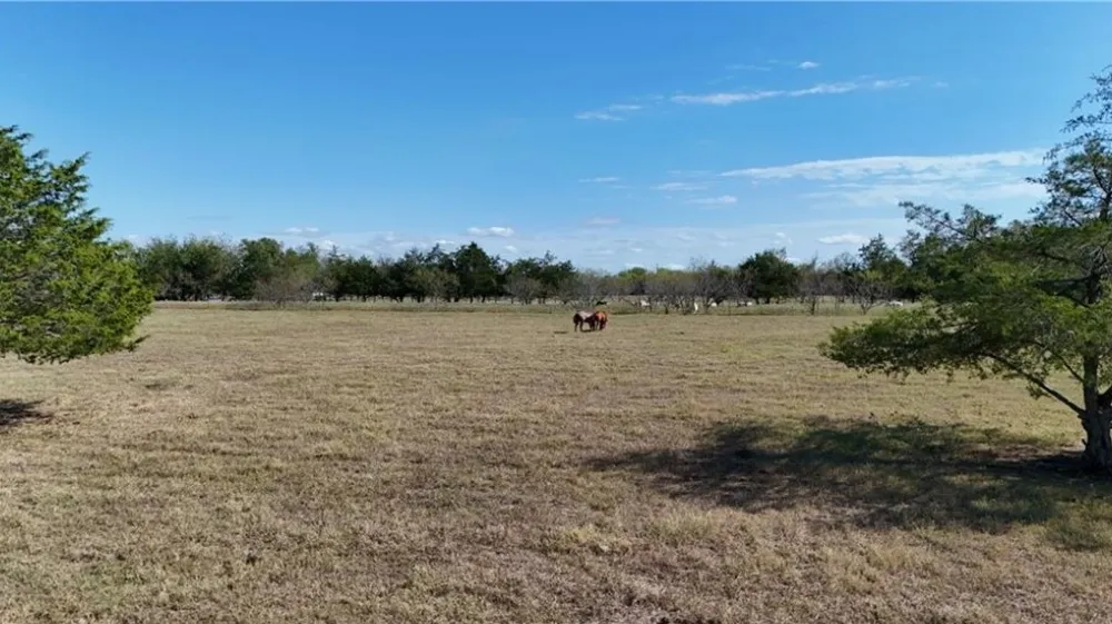 1850 LCR 439 Groesbeck, TX 76667