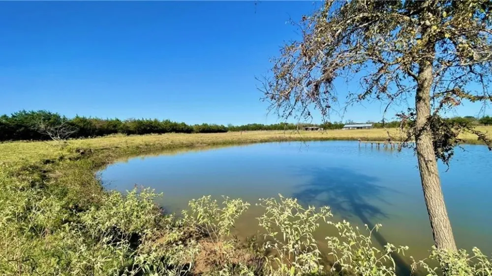 1850 LCR 439 Groesbeck, TX 76667