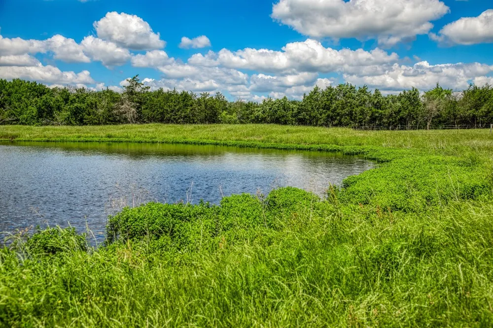 1850 LCR 439 Groesbeck, TX 76667