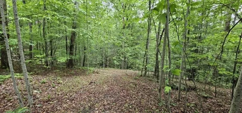 0 Oak Leaf Lane Dunlap, TN 37327