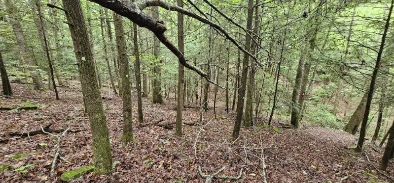 0 Oak Leaf Lane Dunlap, TN 37327
