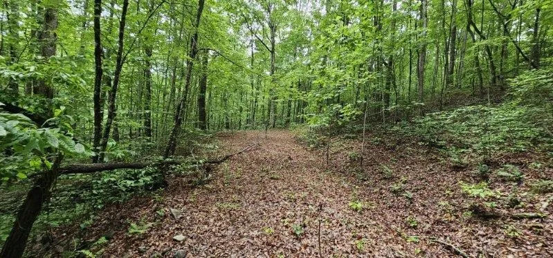 0 Oak Leaf Lane Dunlap, TN 37327