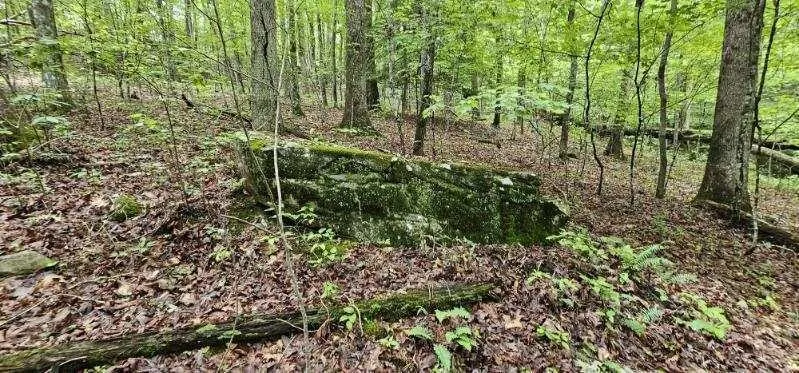 0 Oak Leaf Lane Dunlap, TN 37327