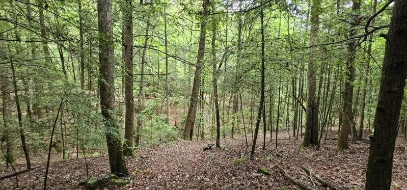 0 Oak Leaf Lane Dunlap, TN 37327